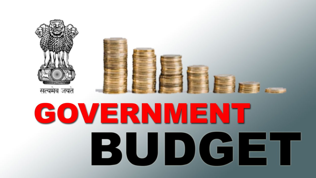 GOVERNMENT BUDGET IMPORTANT QUESTIONS CBSE